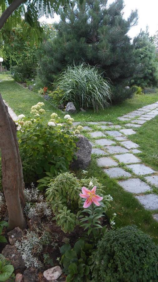 Guest House Odessa Zewnętrze zdjęcie